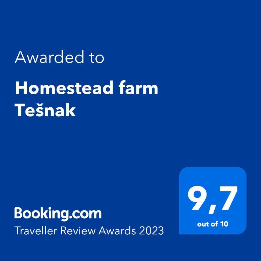Homestead Farm Tesnak Gorenja Vas  Εξωτερικό φωτογραφία